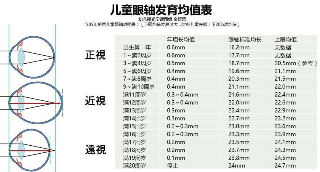 长到24mm左右(如下图),所以对于儿童和青少年来说,并非大家理解的"眼